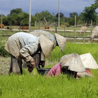 lao_farmer200.jpg