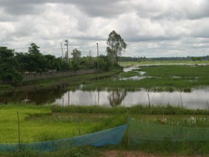 F-MARSH2 F-MARSH2