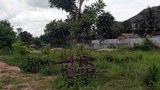 F-TL-houses