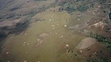 F-bomb-craters