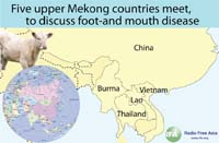 FootMouthDisease2.jpg FootMouthDisease2.jpg