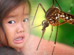 F-mosquito-girl F-mosquito-girl