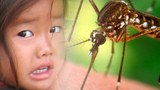 F-mosquito-girl