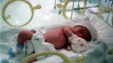 F-Newborn