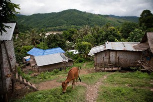 F-Ban-huay-souie F-Ban-huay-souie