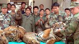 F-Wildlife2