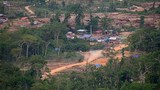 F-illegal-logging-vietnam