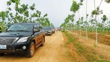 F-Vietnam-rubber-farm