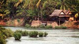 F-Nongpong