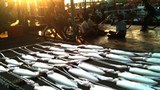 F-Burmese-workers-thailand
