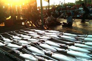 F-Burmese-workers-thailand