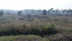 F-plain-of-jars2
