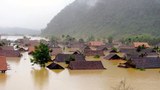 F-Nesat-Vietnam