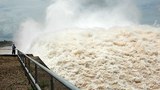 F-Flood-gate