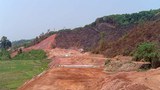 F-rubber-plantation-LP