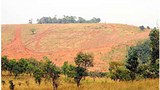 F-bolaven-plateau