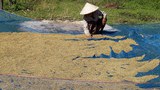 F-Lao-Farmer