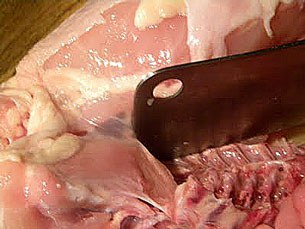 F-chicken-meat F-chicken-meat