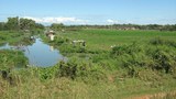 F-That-luang-marsh10