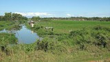F-TL-MARSH