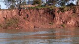 F-Theun-hin-boun-bank-erosion