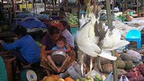 F-Vangvieng-market