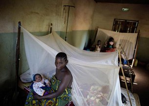 F-mosquito-net F-mosquito-net