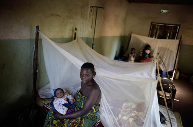 F-mosquito-net F-mosquito-net