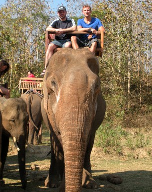 F-elephant-LP F-elephant-LP