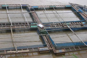 FT-River Fish Farmer