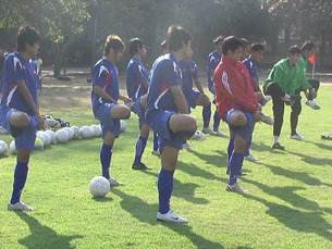 FT-Sport Soccer Players FT-Sport Soccer Players