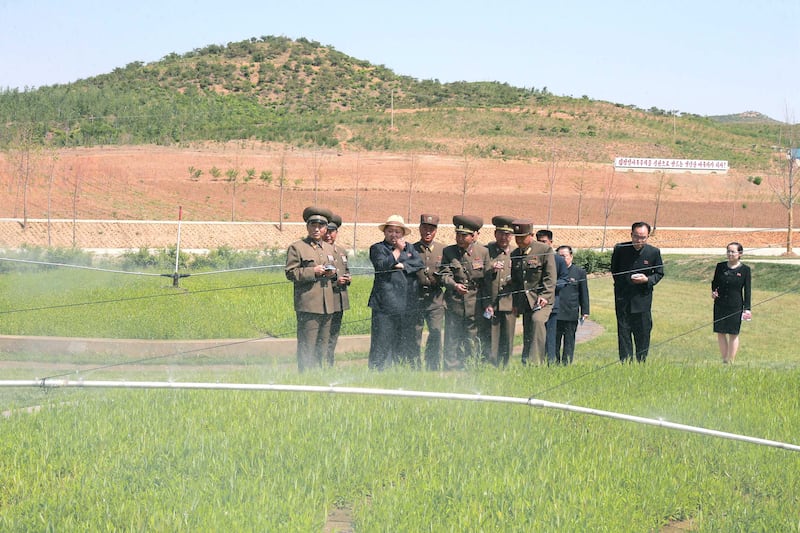 김정은 북한 국무위원장이 군이 운영하는 새 나무 묘목장(양묘장)을 현지지도하고 있다.
