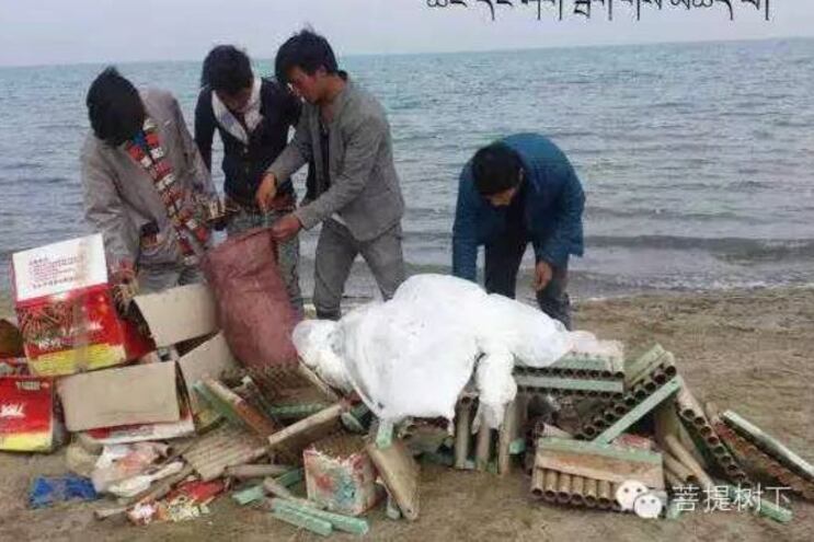 ས་གནས་བོད་མི་ཁག་གཅིག་གིས་མཚོ་སྔོན་པོའི་གད་སྙིགས་གཙང་བཟོ་གནང་བཞིན་པ།