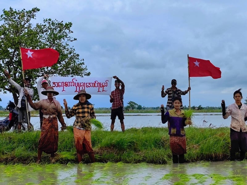 စစ်ကိုင်းတိုင်း ခင်ဦးမြို့နယ်မှာ ရှစ်လေးလုံး အရေးတော်ပုံနေ့ အထိမ်းအမှတ်အဖြစ် ၂၀၂၃ ခုနှစ် ဩဂုတ်လ ၈ ရက်နေ့က တောင်သူလယ်သမားတချို့ ကောက်စိုက်၊ ပျိုးနုတ်ရင်း ဆန္ဒပြခဲ့စဉ်။ (ဓာတ်ပုံ - ကိုလူချော)