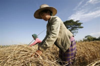 farmer_crop_200px.jpg