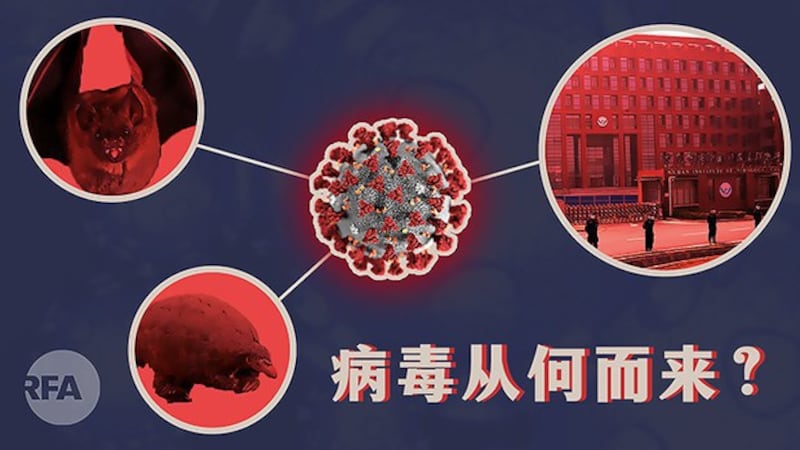病毒从何而来?(自由亚洲电台制图)