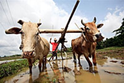 farmer_plough_200px.jpg