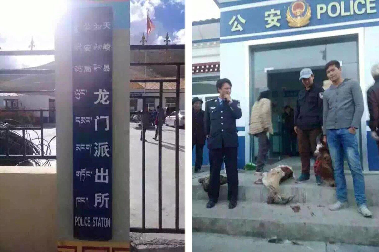 ལུང་དམར་ཡུལ་ཚོའི་སྤྱི་བདེ་མངགས་གཏོང་ཁང་།