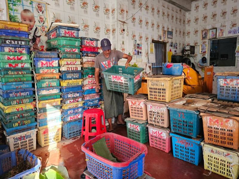 လပွတ္တာမြို့မှ ကဏန်းအဝယ်ဒိုင်များအား ၂၀၂၄ခုနှစ်၊ ဧပြီလ ၄ ရက်နေ့က တွေ့ရစဉ်။ (Photo: RFA)