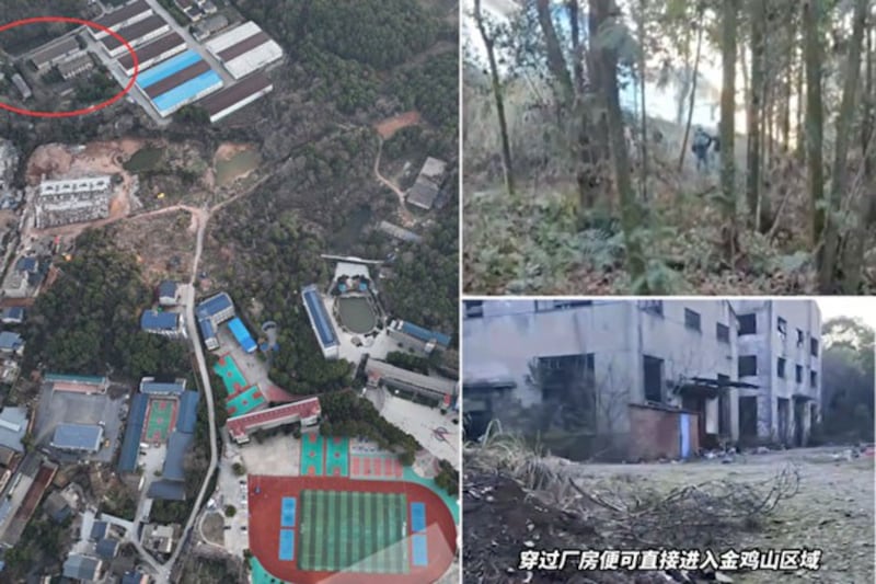江西失踪青年胡鑫宇的尸体在学校后山金鸡山区仓库附近被找到。右图为废弃仓库及树林。(视频截图)