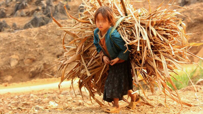 CHILD-WORKING.jpg