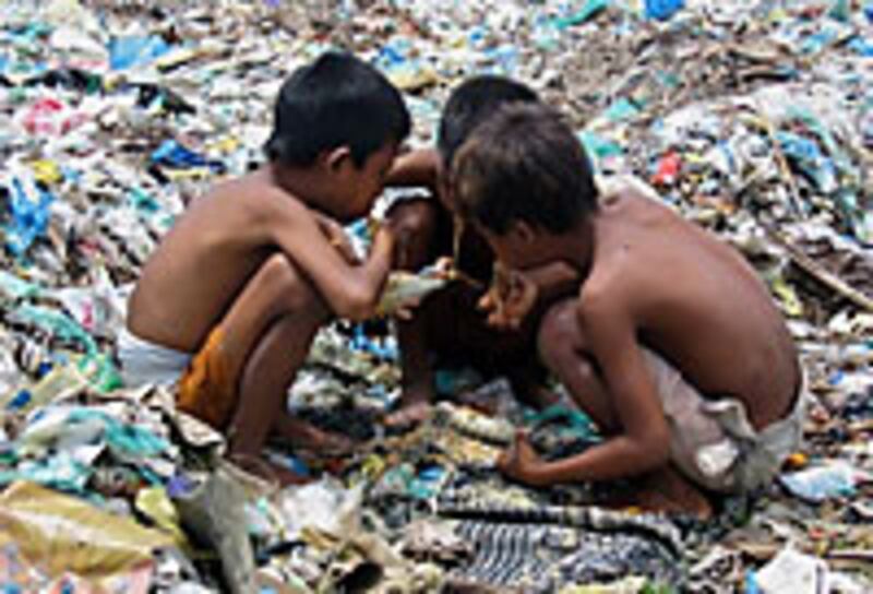young_scavengers_200px.jpg