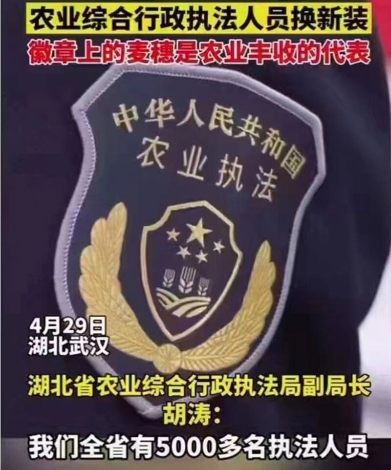湖北省已建成一支五千多人的“农管”队伍。(网络图片/古亭提供)