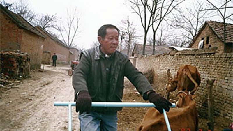 商水县西赵桥村1998年第二例死于艾滋病感染的病人(照片由王淑平提供)