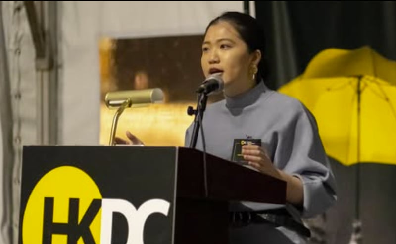 郭鳳儀指,雖在HKDC成功推動多個政策倡議,但遊說過程並不簡單。(受訪者提供).png