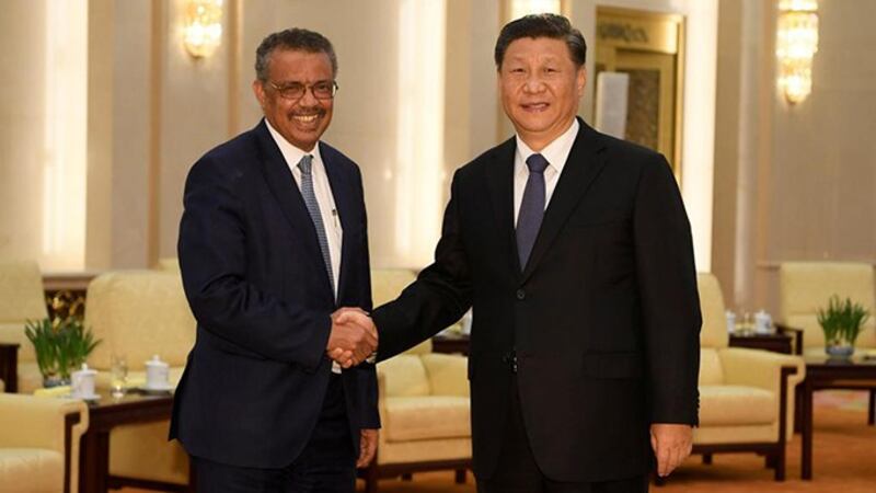 中国领导人习近平2020年1月28日在北京会见世界卫生组织总干事谭德塞(左)(路透社)