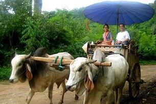 ສາວນ້ອຍ ລາວ-ອາເມຣິກັນ ທີ່ຊື່ວ່າ ມະນີນິນ(ຊ້າຍ) ໄດ້ກັບໄປ ຢ້ຽມຢາມເມືອງລາວ ໂດຍສະເພາະ ແຂວງຈໍາປາສັກ ຊື່ງເປັນບ້ານເກີດ ຂອງຜູ້ເປັນພໍ່