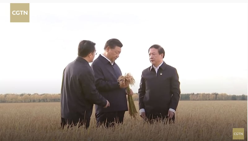 2018年9月25日,习近平在黑龙江七星农场了解粮食生产情况。(视频截图/CCTN)