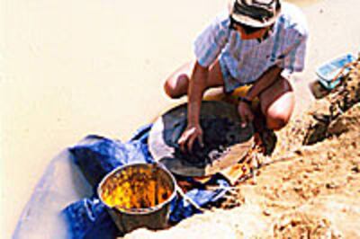 gold_mining_200px.jpg