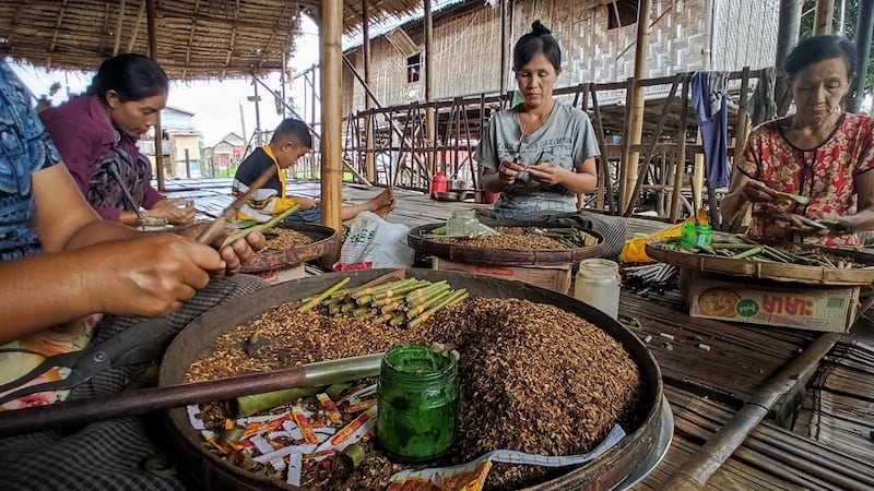 စျေးကွက်သို့ တင်ပို့မည့် သနပ်ဖက်ရွက်တောင်းများ စီထည့်နေသည်ကို ၂၀၂၃ ခုနှစ် သြဂုတ်လ ၁၃ ရက်နေ့က တွေ့ရစဉ်